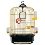 Regina Gold Bird Cage